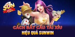 Cách bắt cầu tài xỉu Sunwin hiệu quả