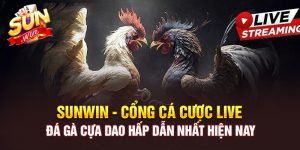 SUNWIN - CỔNG CÁ CƯỢC LIVE ĐÁ GÀ CỰA DAO HẤP DẪN NHẤT HIỆN NAY