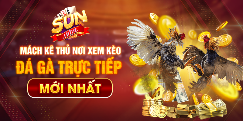 xem kèo đá gà trực tiếp