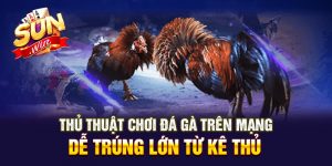 đá gà trên mạng