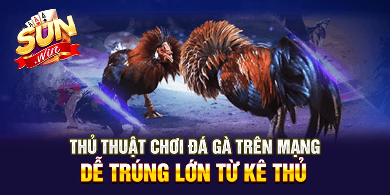 đá gà trên mạng