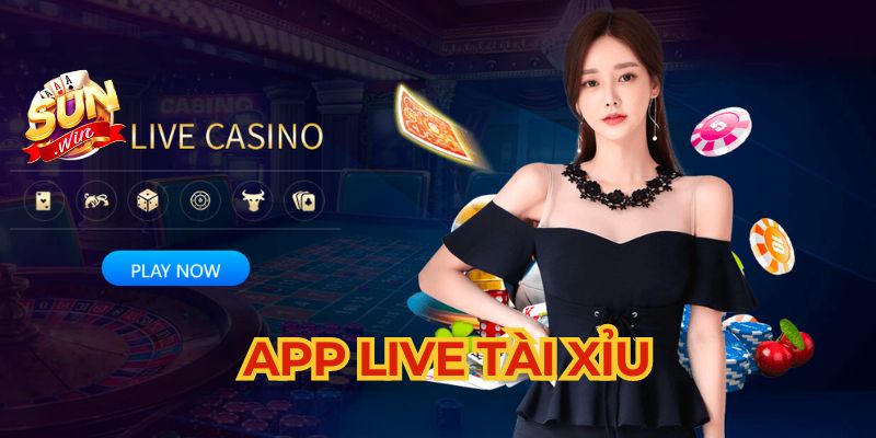 Giải thích app tài xỉu live là gì?